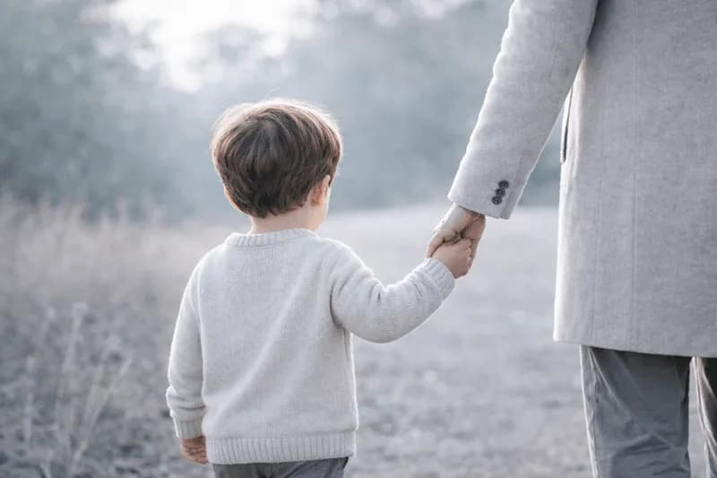 Legal protection and safety concept